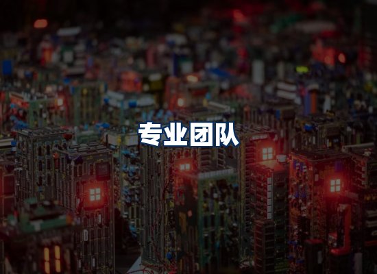 专业团队