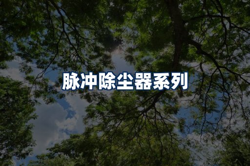 脉冲除尘器展示